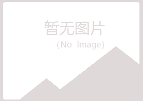 蕉岭县如柏能源有限公司